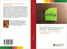 Bookcover of Poloneses falam polaco no Sul do Brasil - Santa Catarina