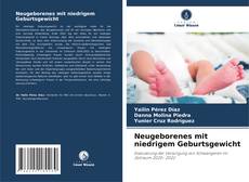 Buchcover von Neugeborenes mit niedrigem Geburtsgewicht