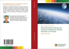 Capa do livro de Quantificação do Risco de Contaminaçãop Por Metais Pesados no Amapá 