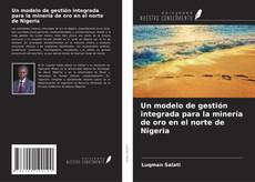 Copertina di Un modelo de gestión integrada para la minería de oro en el norte de Nigeria