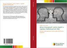 Ativo Intangível: como medir o capital intelectual em IES kitap kapağı
