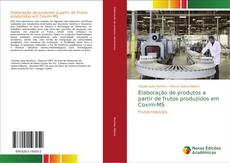 Copertina di Elaboração de produtos a partir de frutos produzidos em Coxim-MS