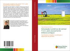 Simulação numérica de sensor T.C.E. para escoamento bifásico ar/água的封面