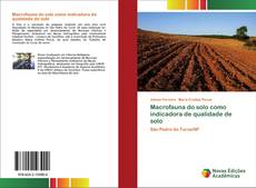 Обложка Macrofauna do solo como indicadora de qualidade de solo