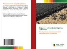 Rejuvenescimento de Ligantes asfálticos的封面