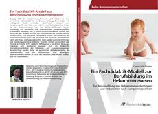 Copertina di Ein Fachdidaktik-Modell zur Berufsbildung im Hebammenwesen