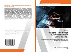 Copertina di FinTechs – die neuen Kreditinstitute in Deutschland?