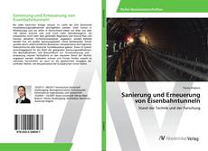 Bookcover of Sanierung und Erneuerung von Eisenbahntunneln