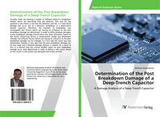 Copertina di Determination of the Post Breakdown Damage of a Deep-Trench Capacitor