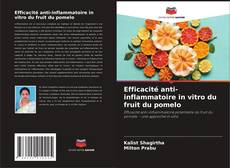 Couverture de Efficacité anti-inflammatoire in vitro du fruit du pomelo