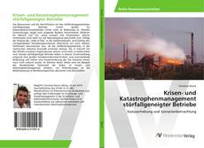 Copertina di Krisen- und Katastrophenmanagement störfallgeneigter Betriebe