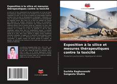Couverture de Exposition à la silice et mesures thérapeutiques contre la toxicité