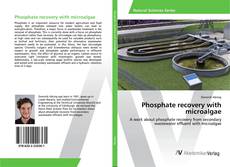 Copertina di Phosphate recovery with microalgae