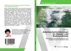 Copertina di Arbeitssicherheitskonzept für Wasser- und Bodenverbände