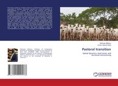 Copertina di Pastoral transition