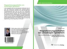 Copertina di Magnetisierungsverhalten von anisotropen Spinleitern