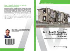 Copertina di Cost - Benefit Analysis of Seismic retrofitting Strategies