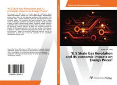 Copertina di "U.S Shale Gas Revolution and its economic Impacts on Energy Prices"