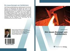 Bookcover of Ein neues Konzept von Halidsintern