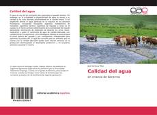 Bookcover of Calidad del agua