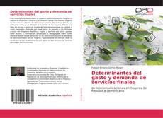 Copertina di Determinantes del gasto y demanda de servicios finales