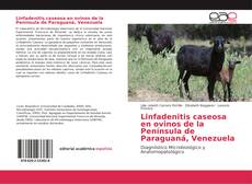 Linfadenitis caseosa en ovinos de la Península de Paraguaná, Venezuela kitap kapağı