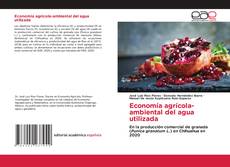 Bookcover of Economía agrícola-ambiental del agua utilizada