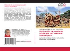 Buchcover von Utilización de maderas espinosas del matorral tamaulipeco