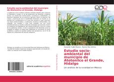 Estudio socio-ambiental del municipio de Atotonilco el Grande, Hidalgo kitap kapağı