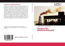 Bookcover of Inspeccion Medioambiental
