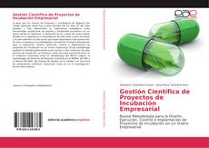 Buchcover von Gestión Científica de Proyectos de Incubación Empresarial