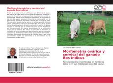 Portada del libro de Morfometría ovárica y cervical del ganado Bos indicus