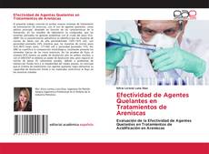Copertina di Efectividad de Agentes Quelantes en Tratamientos de Areniscas