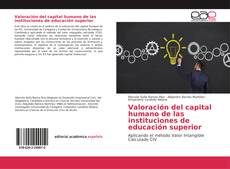 Bookcover of Valoración del capital humano de las instituciones de educación superior