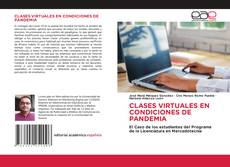 Обложка CLASES VIRTUALES EN CONDICIONES DE PANDEMIA