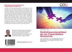 Bookcover of Multidimensionalidad de las Capacidades Dinámicas