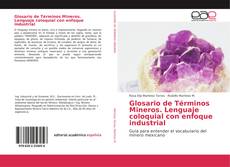 Обложка Glosario de Términos Mineros. Lenguaje coloquial con enfoque industrial