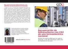 Capa do livro de Recuperación de hidrocarburos con CO2 de una termoelectrica nacional 