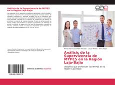Capa do livro de Análisis de la Supervivencia de MYPES en la Región Laja-Bajío 