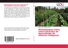 Portada del libro de Metodologías Intra-Interculturales de Aprendizaje de Saberes Indígenas