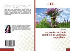 Обложка L'extraction de l'huile essentielle de Lavandula angustifolia.