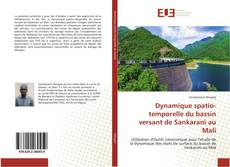 Bookcover of Dynamique spatio-temporelle du bassin versant de Sankarani au Mali