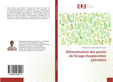 Capa do livro de Détermination des points de forage d'exploration pétrolière 