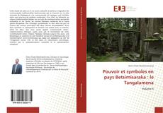 Pouvoir et symboles en pays Betsimisaraka : le Tangalamena的封面