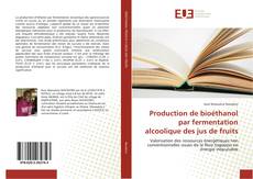 Buchcover von Production de bioéthanol par fermentation alcoolique des jus de fruits