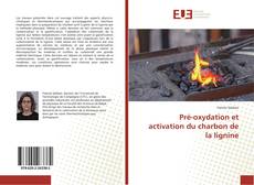Buchcover von Pré-oxydation et activation du charbon de la lignine