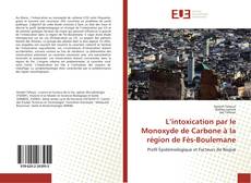 Bookcover of L’intoxication par le Monoxyde de Carbone à la région de Fès-Boulemane
