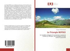 Bookcover of Le Triangle BEPSEE