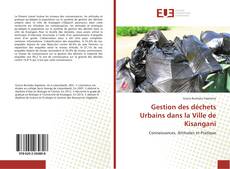 Gestion des déchets Urbains dans la Ville de Kisangani kitap kapağı