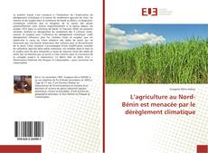 Portada del libro de L’agriculture au Nord-Bénin est menacée par le dérèglement climatique